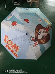 3BB (19)