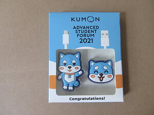 Kumon Cable Protector