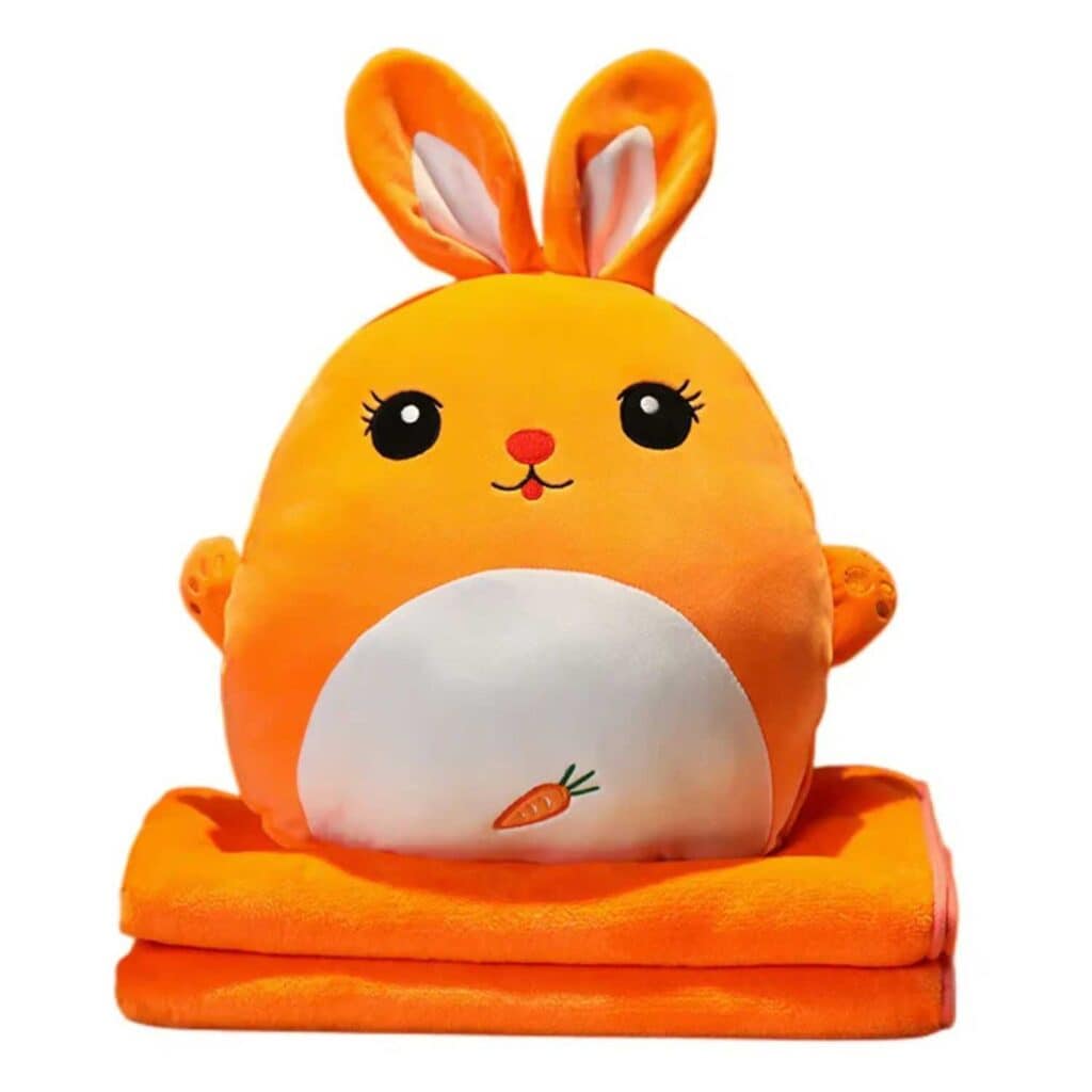 cartoonpillowblanket orange